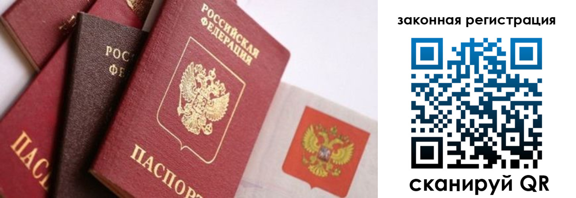 прописка штамп в Гусеве